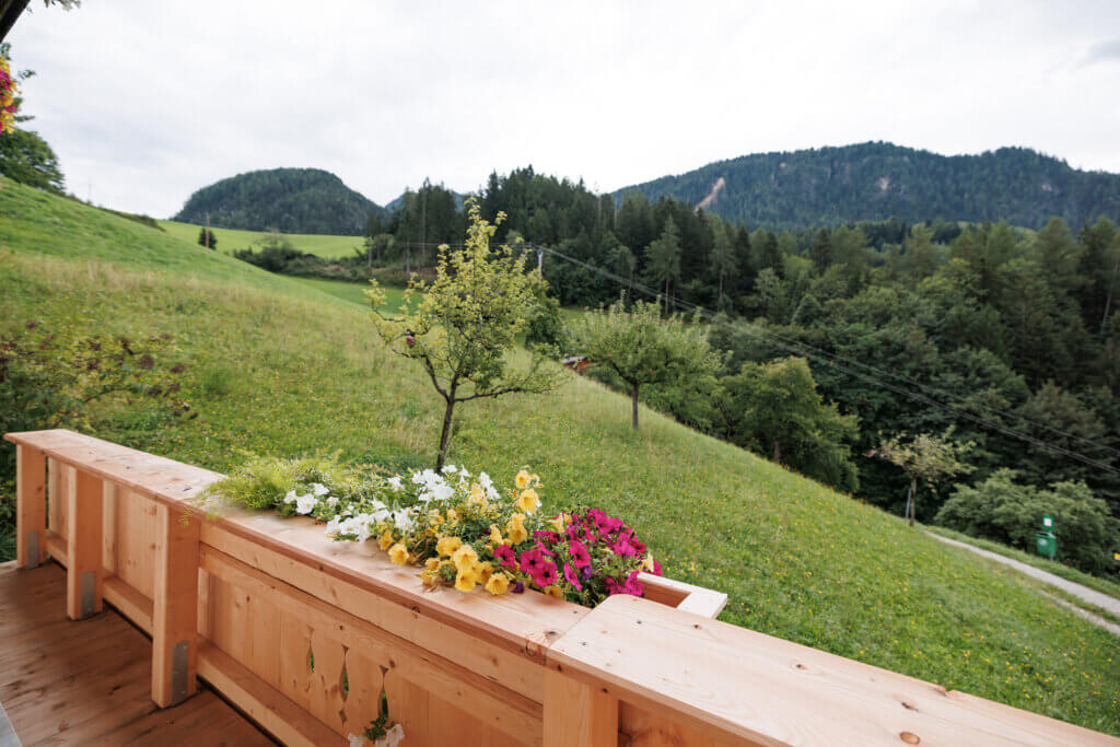 2026-08-26_Pinzgerhof_LR-56